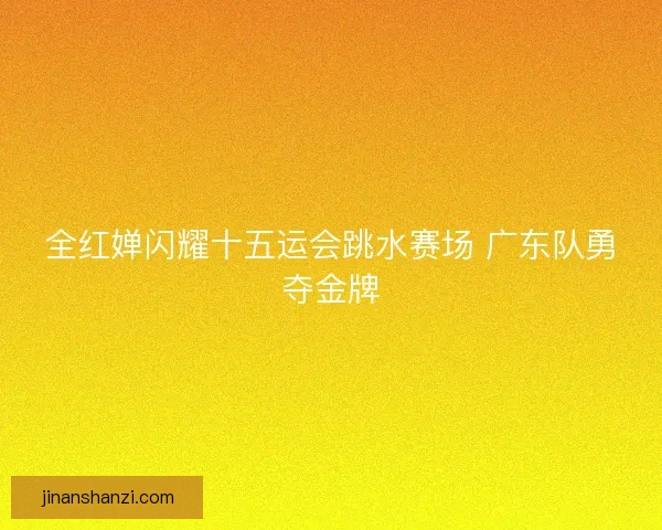 全红婵闪耀十五运会跳水赛场 广东队勇夺金牌