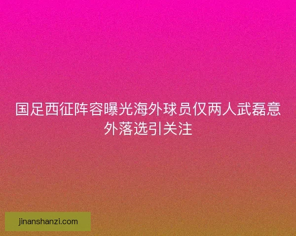 国足西征阵容曝光海外球员仅两人武磊意外落选引关注